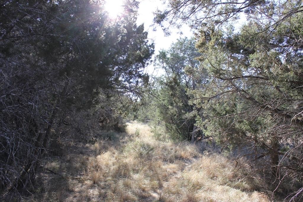 Picture 9