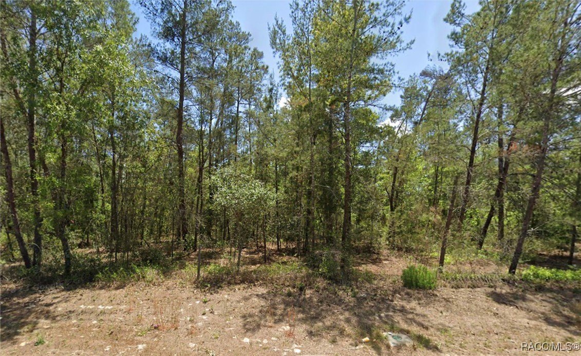 Homosassa Land with Development Potential