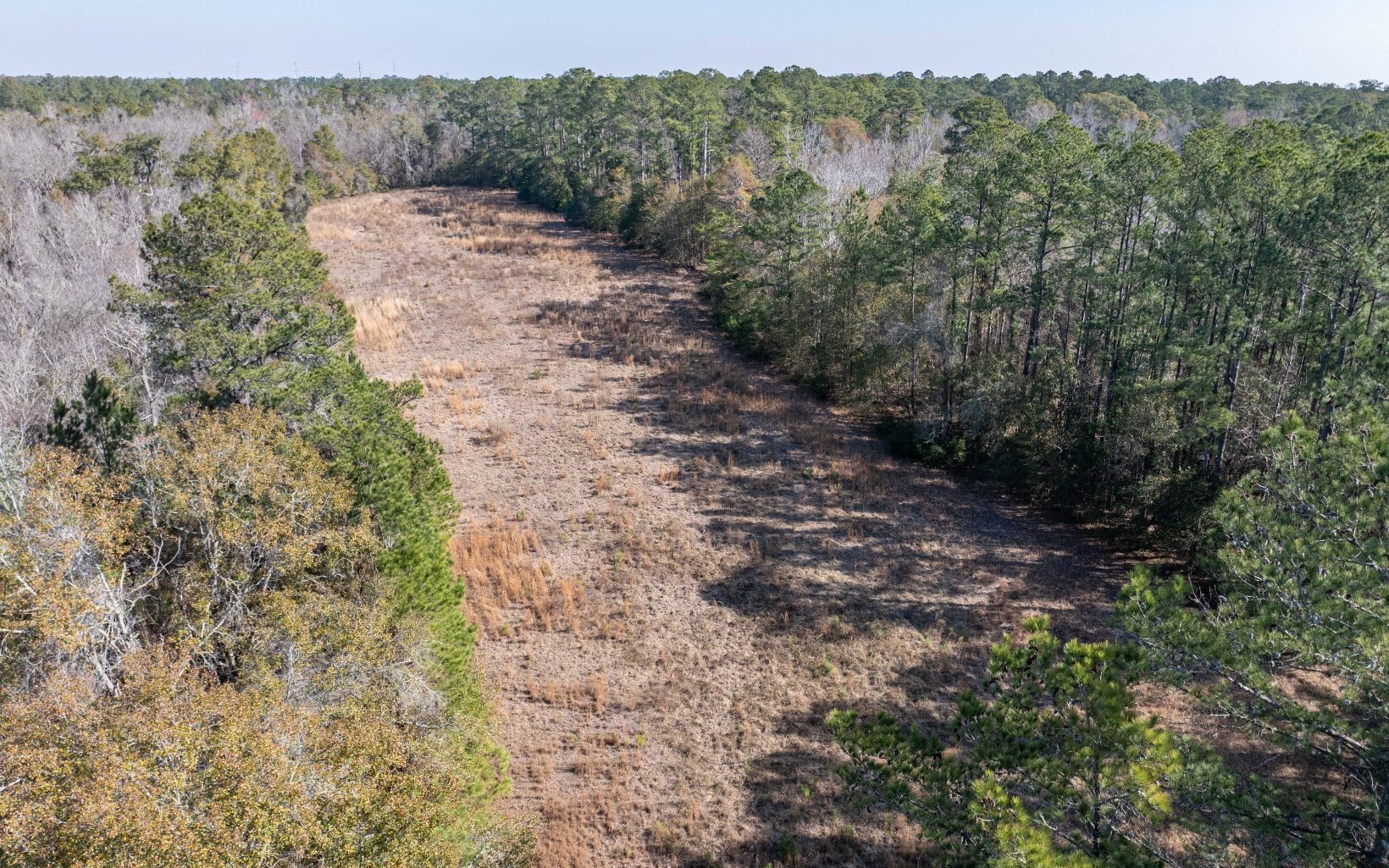 134 Acres of Florida Beauty