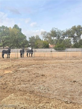 Centennial Hills Horse Property