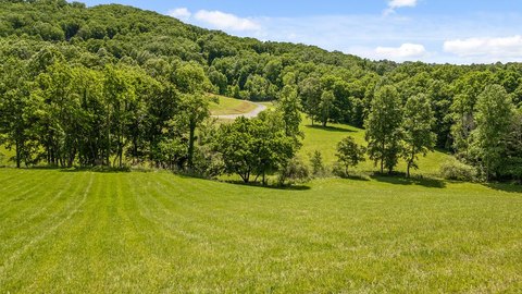 Vacant Lot, Morganton, GA