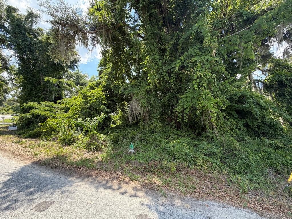 Waterfront Land in Lake Park, GA