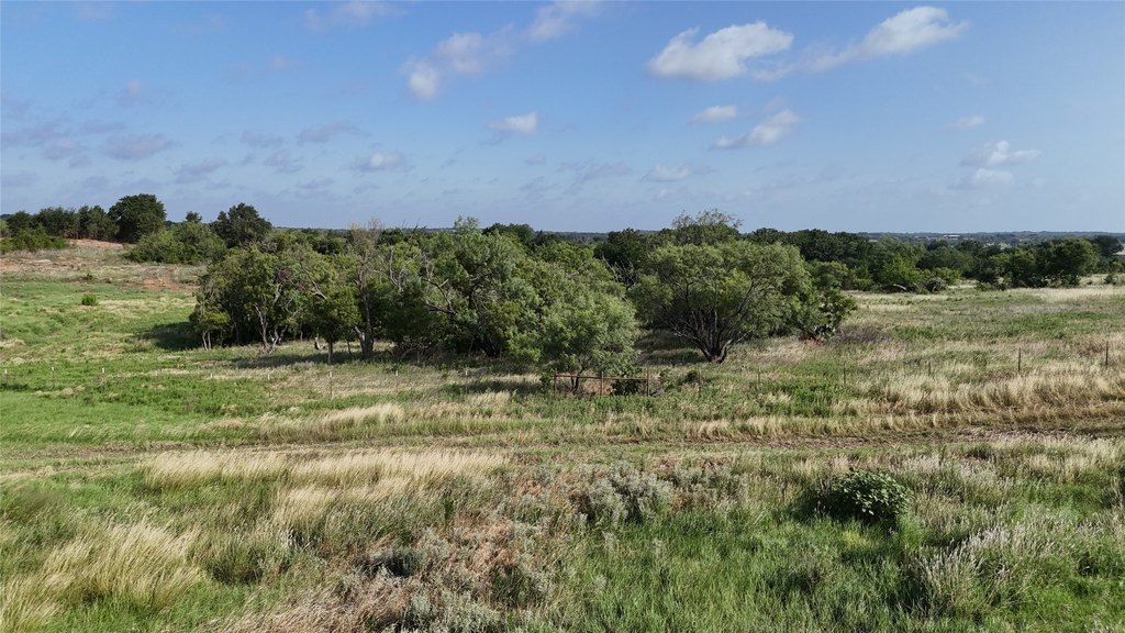 Picture 24