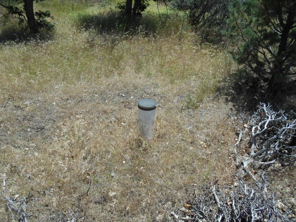 Picture 2