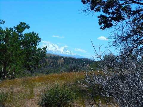 Montague Land with Well