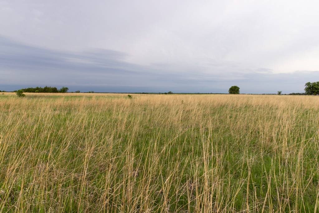Picture 23