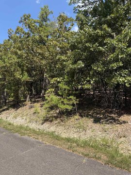 Vacant Land, Hot Springs Village, AR
