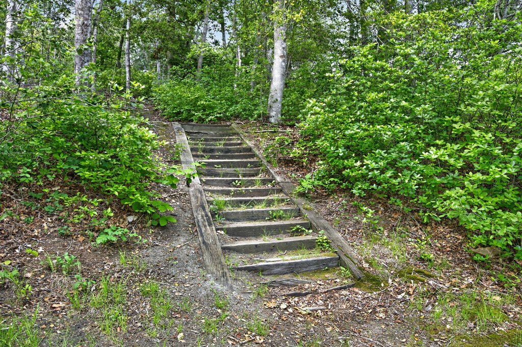 Picture 24