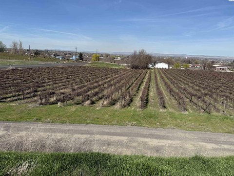 LAND - Prosser, WA