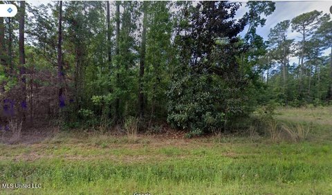 Wooded Lot Near Beaches