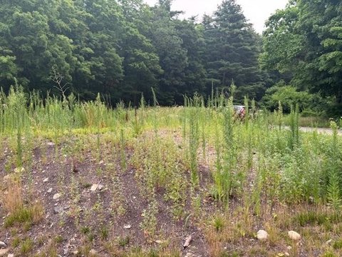 LAND - Nashua, NH