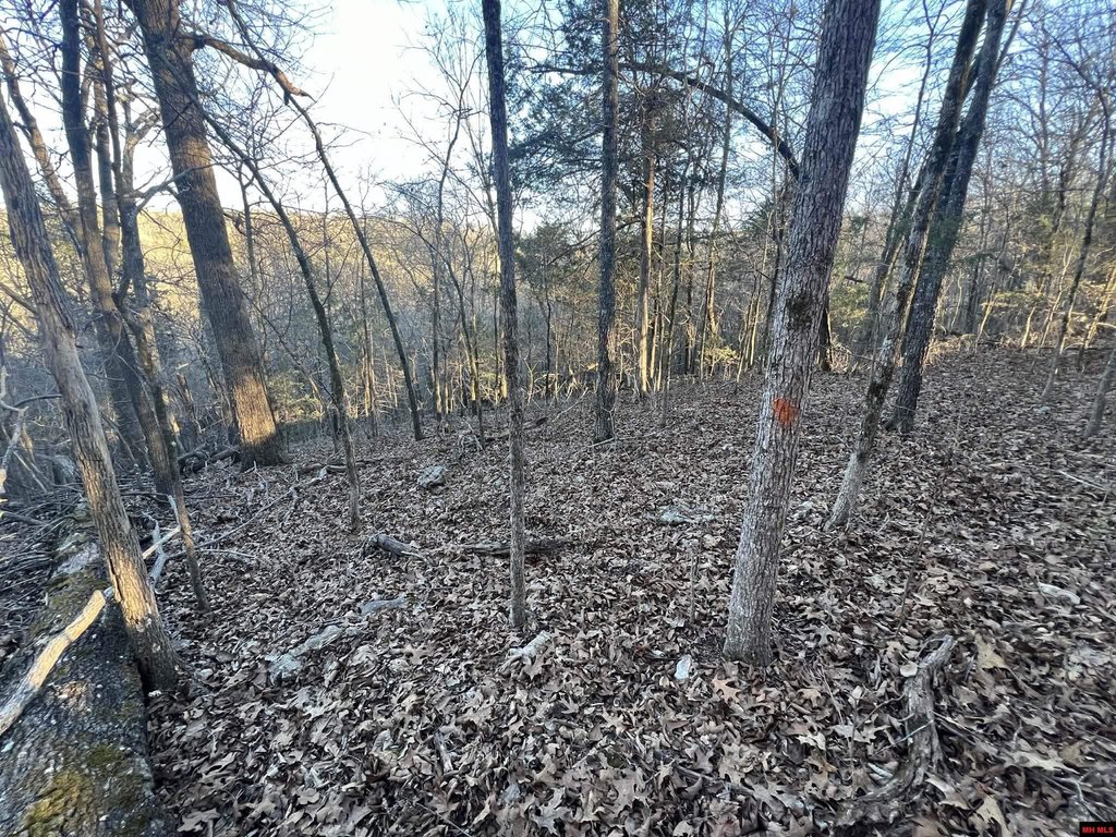 Picture 9