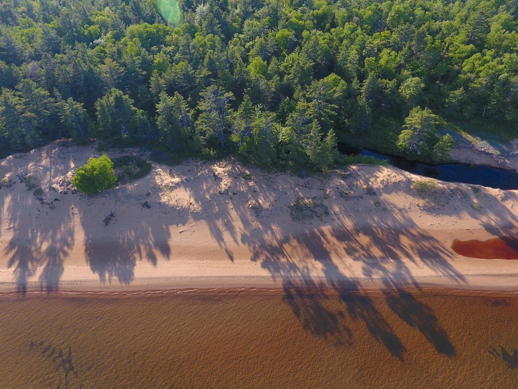 Picture 7