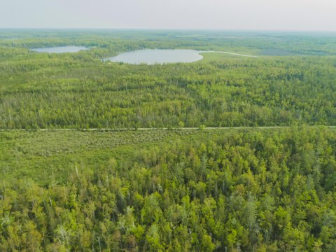 Off-Grid Land Near Trail