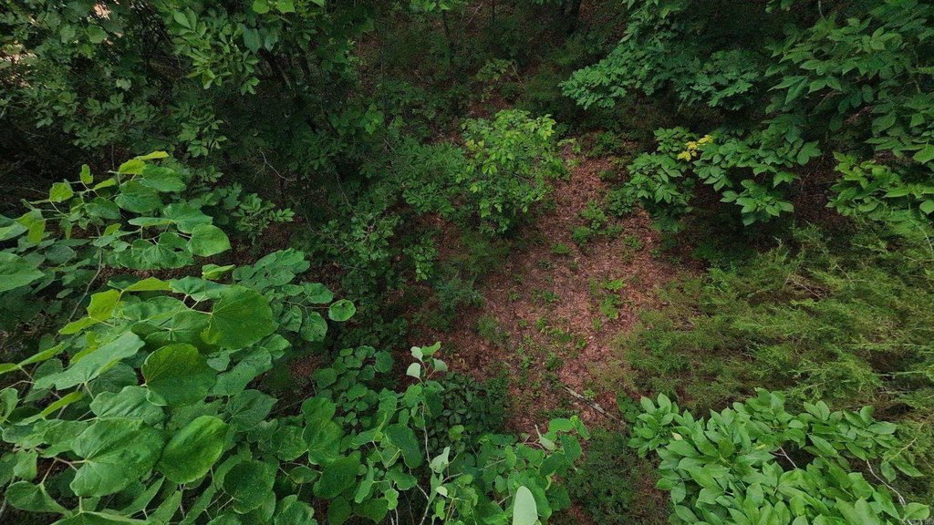 Picture 15