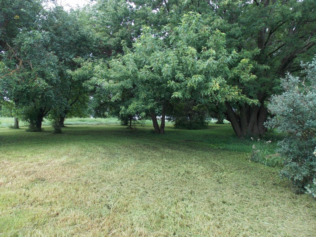 Picture 2