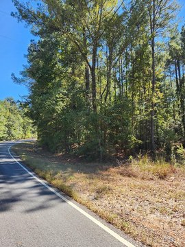 Wooded Land Near Abbeville, AL