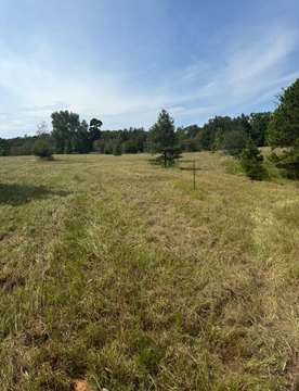9.99 Acre Fenced Land in Texas