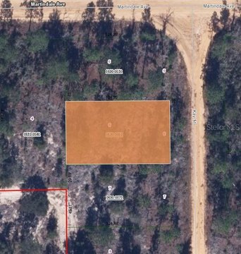 Residential Lot in Interlachen, FL