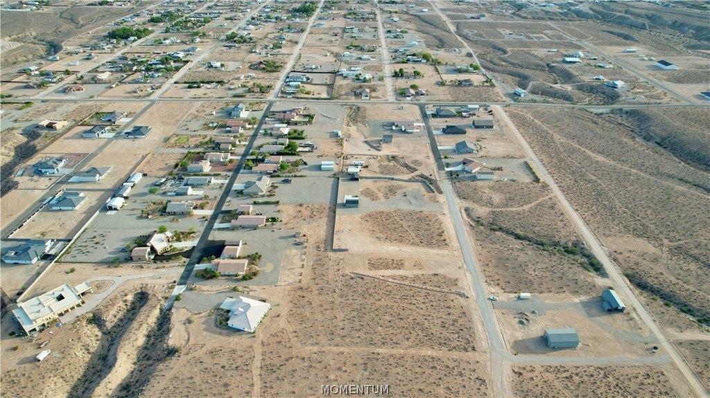Picture 31