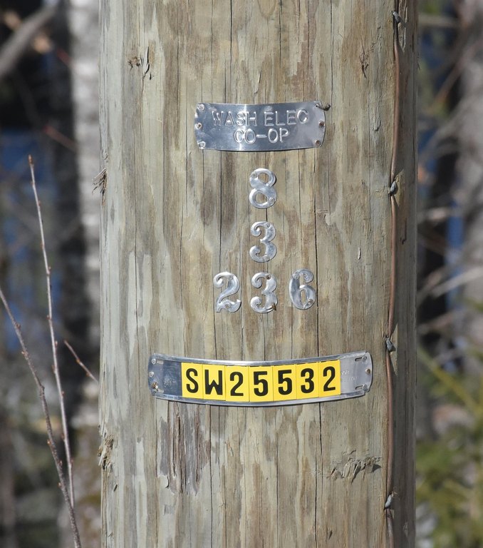 Picture 44