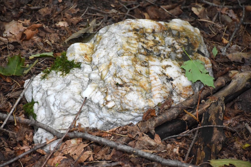 Picture 43