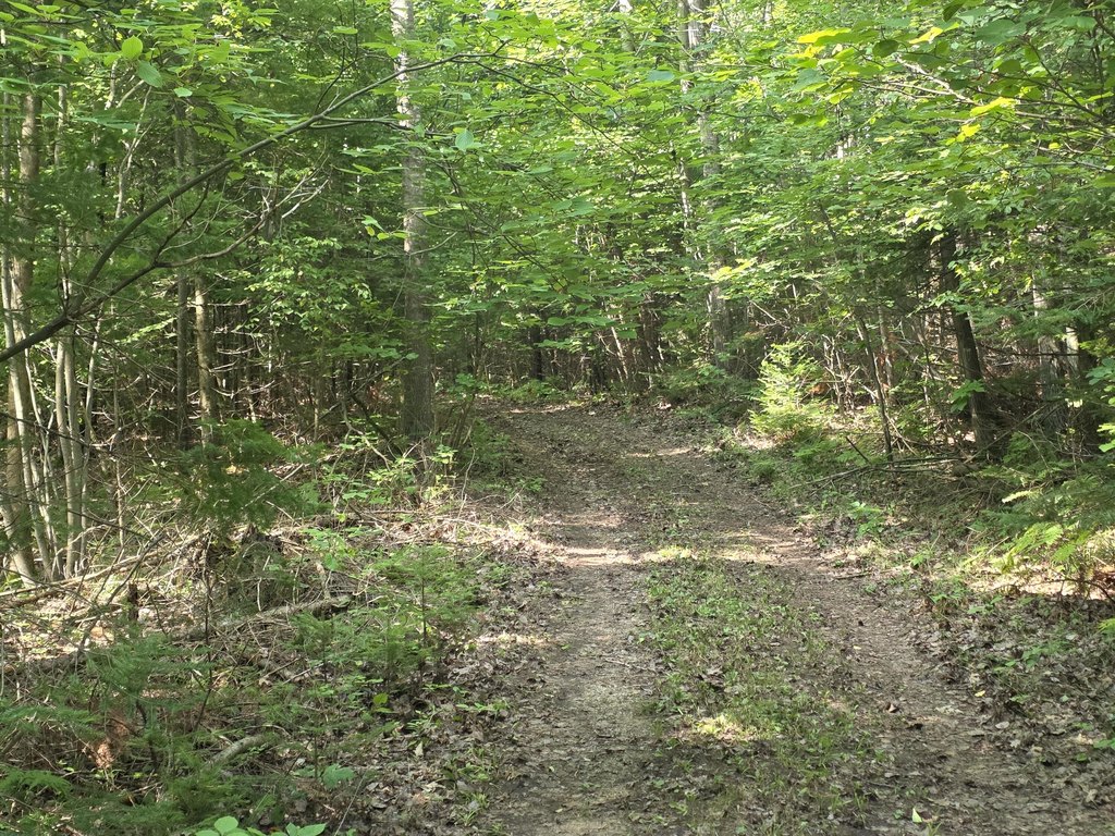Picture 3