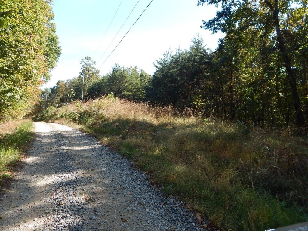 Picture 10