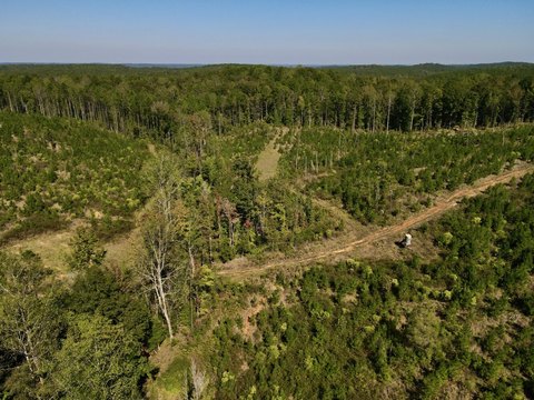 Timber Hunting Land