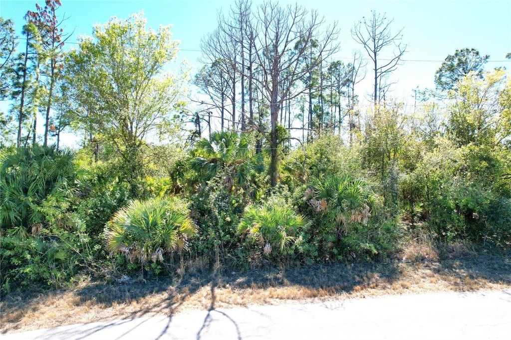 Picture 9