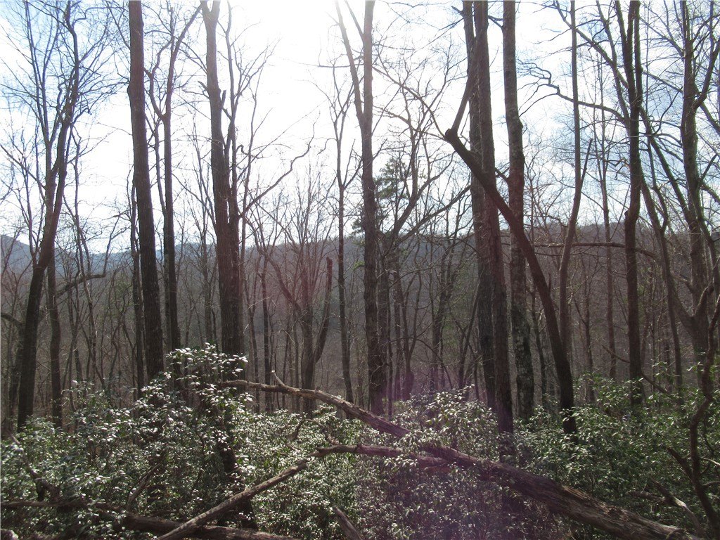 Picture 39