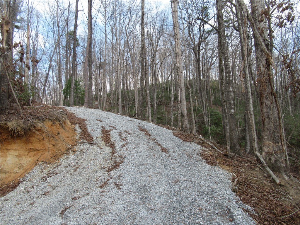 Picture 24