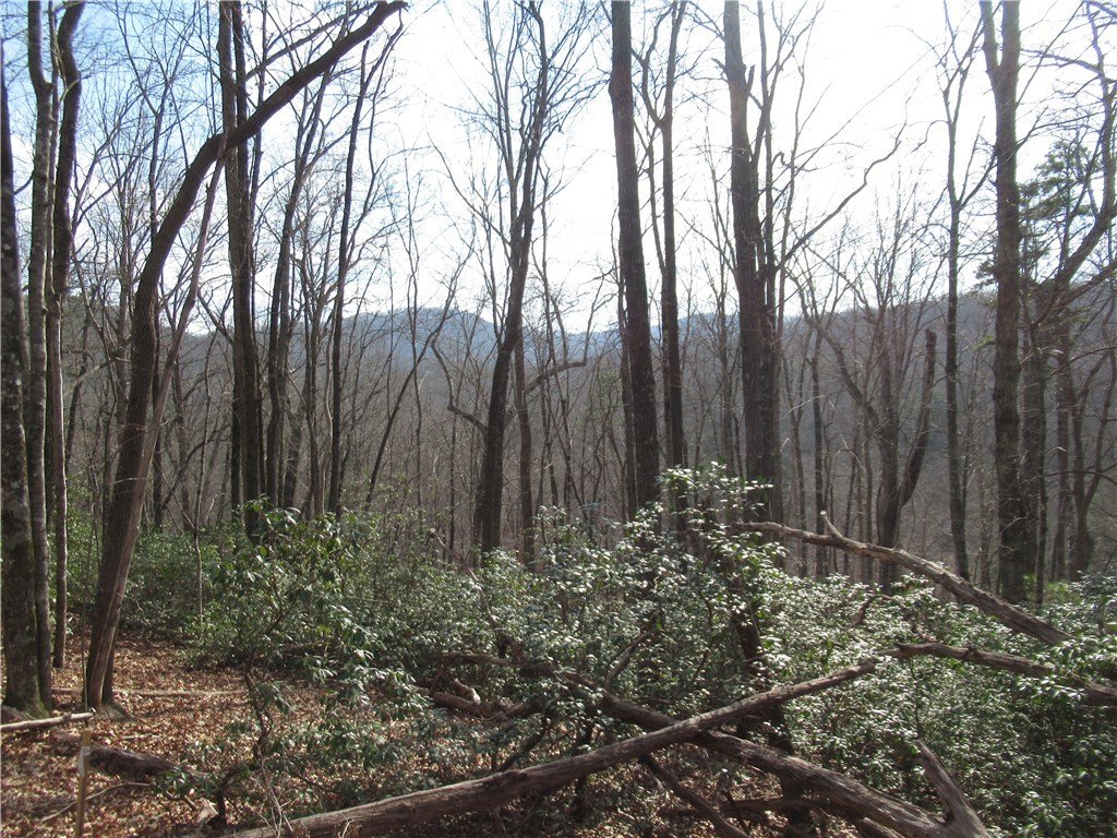 Picture 38