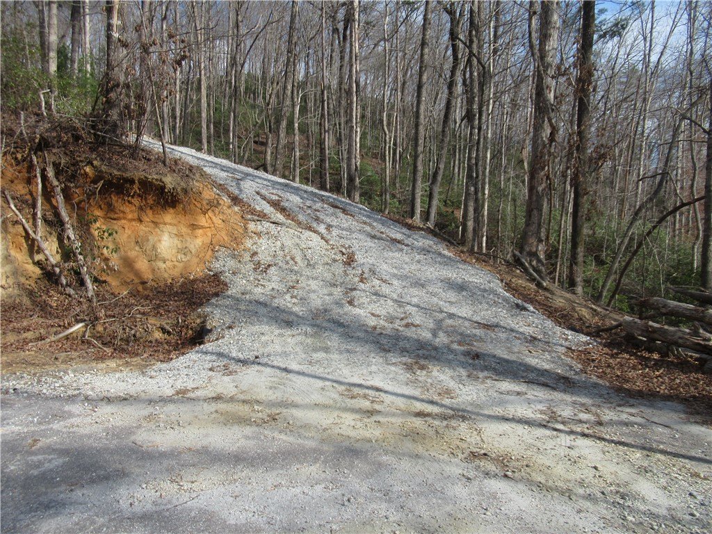 Picture 23