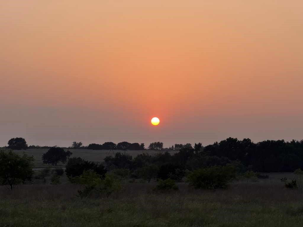 Picture 22