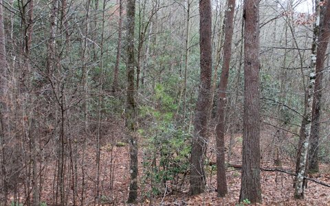 Hayesville Vacant Lot with Views