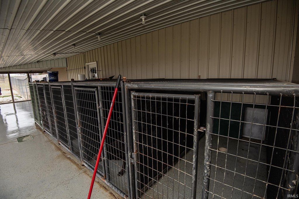 Picture 28