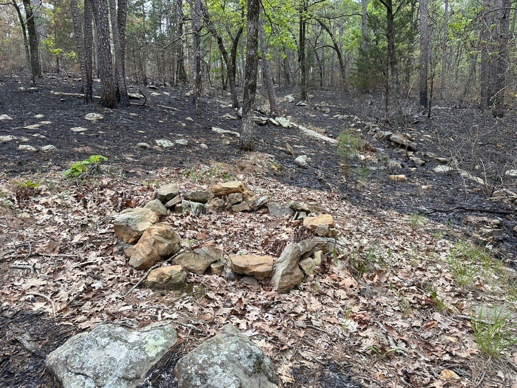 Picture 4