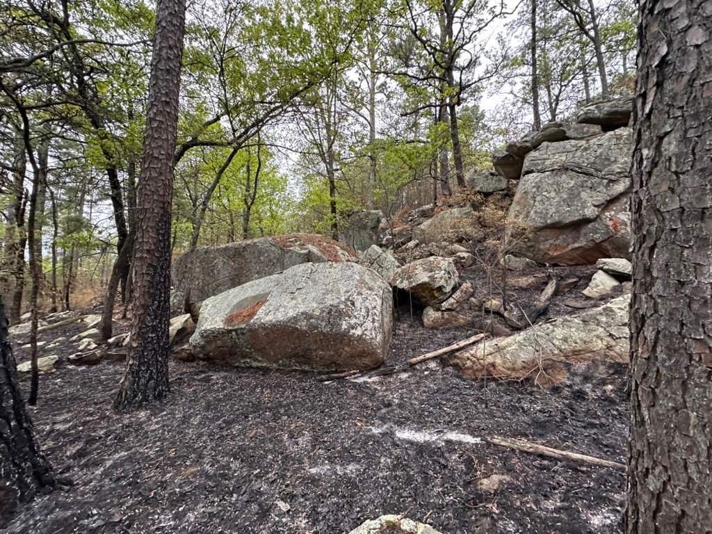 Picture 17
