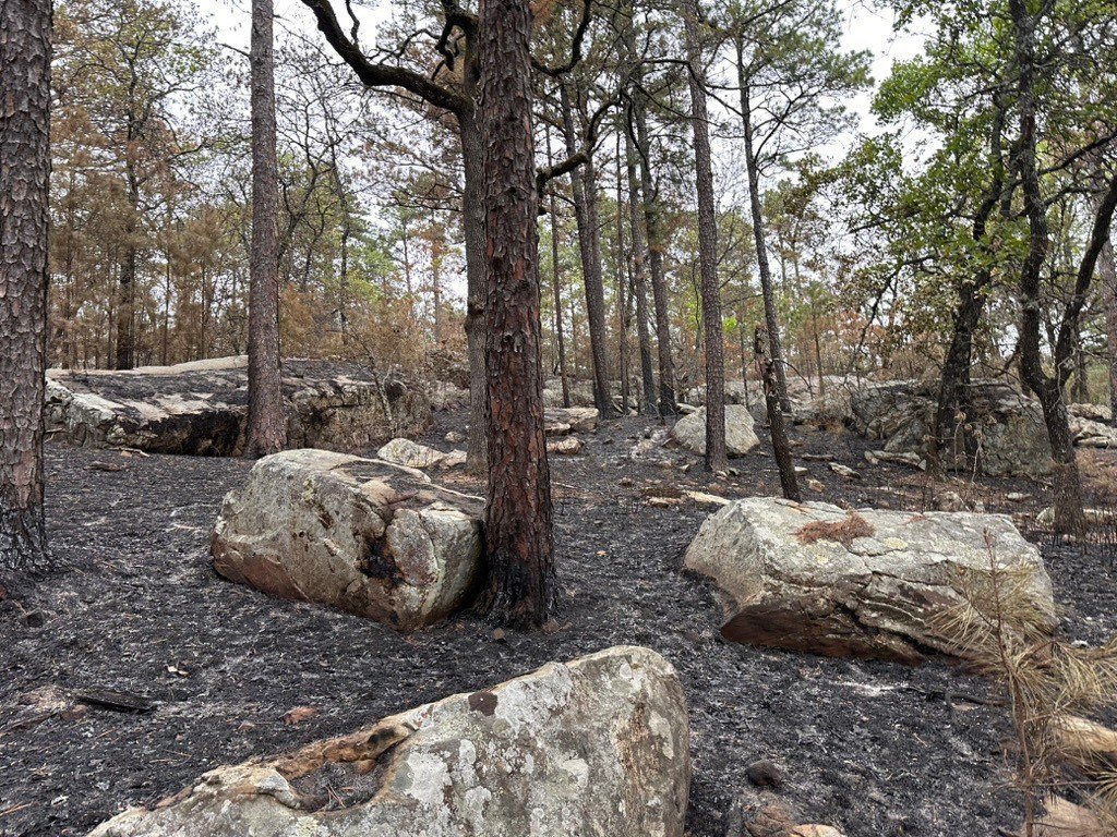Picture 14