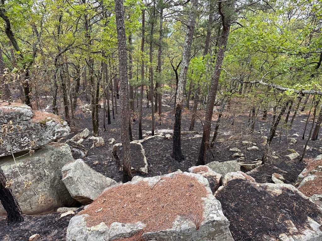 Picture 19