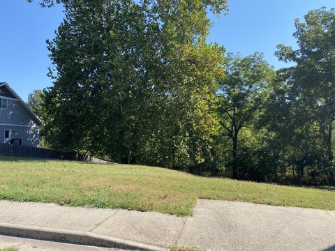 Land, Battlefield, MO
