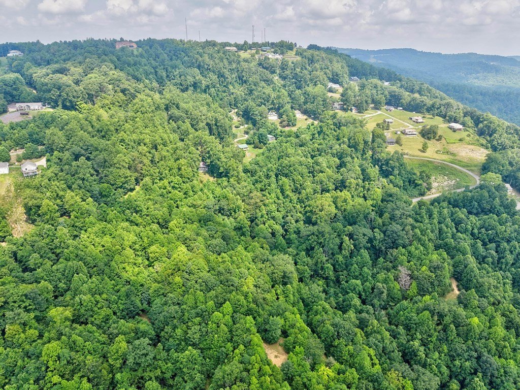 Picture 20