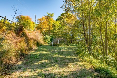 LAND - Fancy Gap, VA