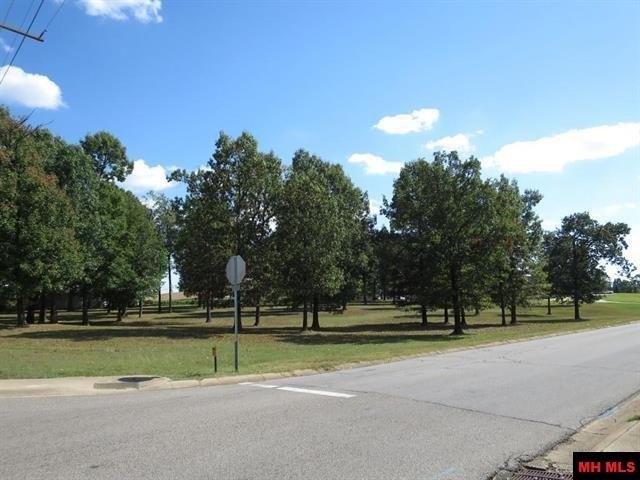 Picture 3