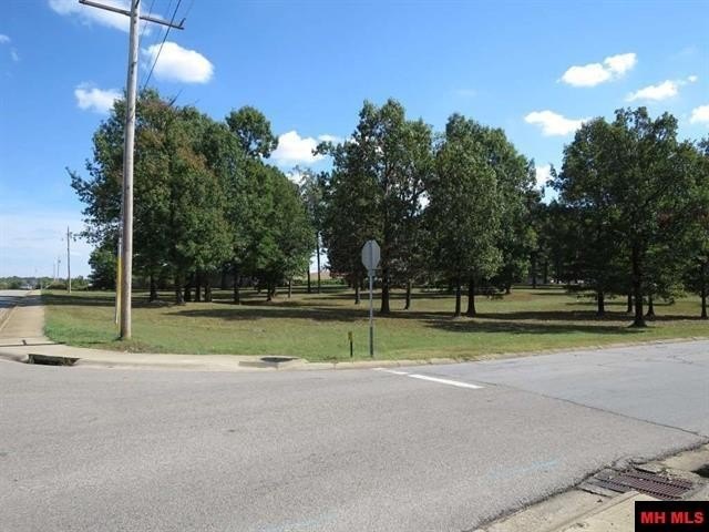 Picture 4