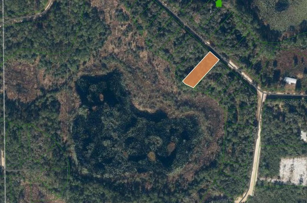 Picture 5