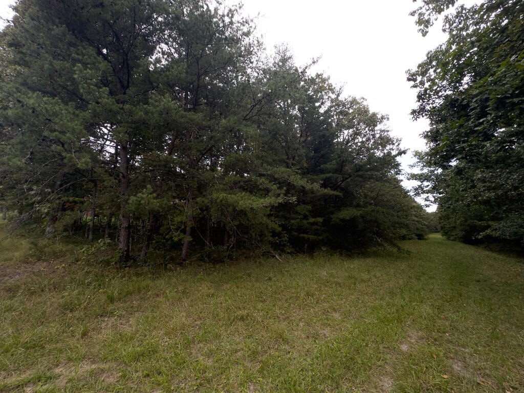 Picture 3
