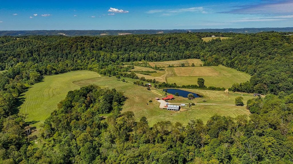 Picture 100