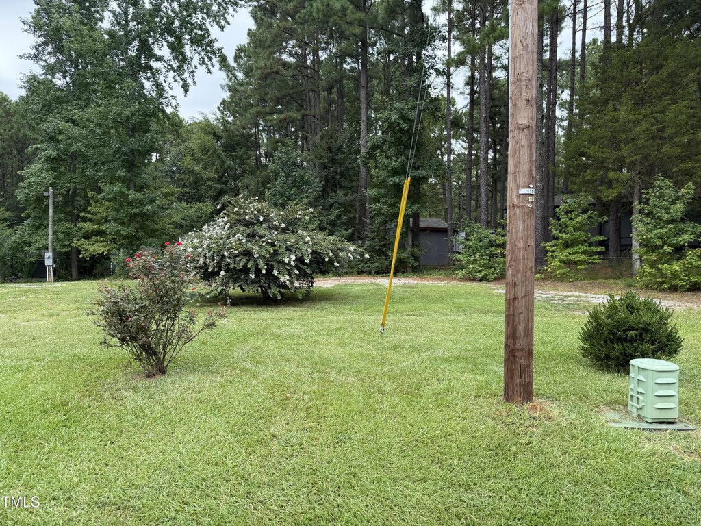 Picture 3